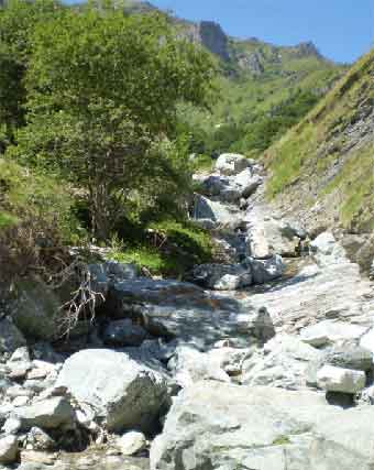 Chemin montant au format portrait